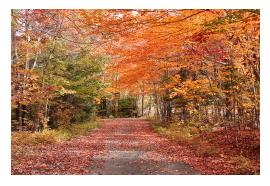 Gorham, NH is beautiful during foliage season