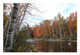 Gorham, NH is beautiful during foliage season