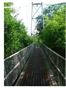 The Curran Suspension Bridge was built in 1939 for $3,000 and still accommodates foot traffic.