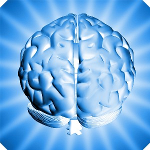 Brain stroke recovery protein identified.