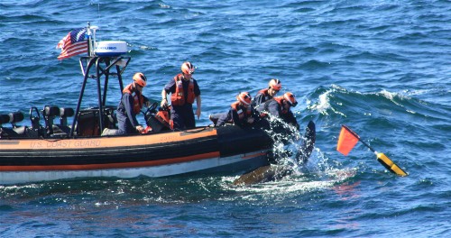 A party from the USCGC Campbell (WMEC 909) rescues a leatherback turtle in the North Atlantic.