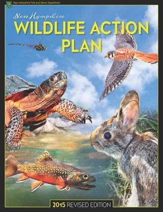 NH Wildlife Action Plan Shows Gains and Challenges.