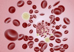 NHLBI study shows iron supplementation after blood donation shortens hemoglobin recovery time.